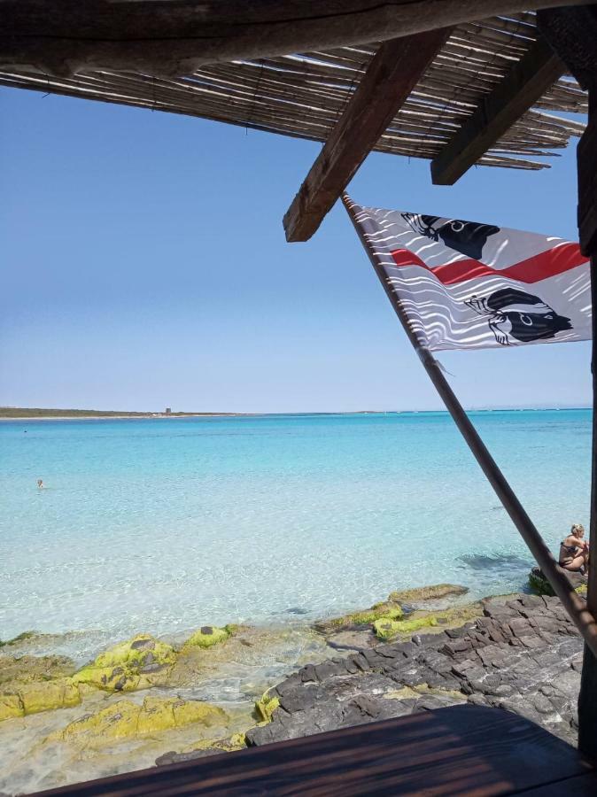 Stefano Casa Vacanze Viddalba Zewnętrze zdjęcie