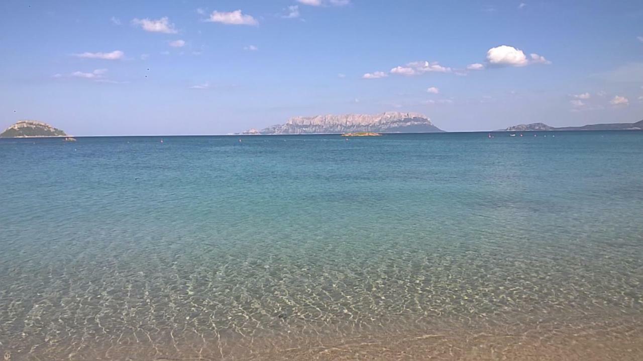 Stefano Casa Vacanze Viddalba Zewnętrze zdjęcie